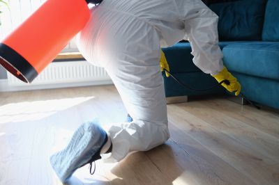 Pest Fumigation Service in Fredericksburg, VA