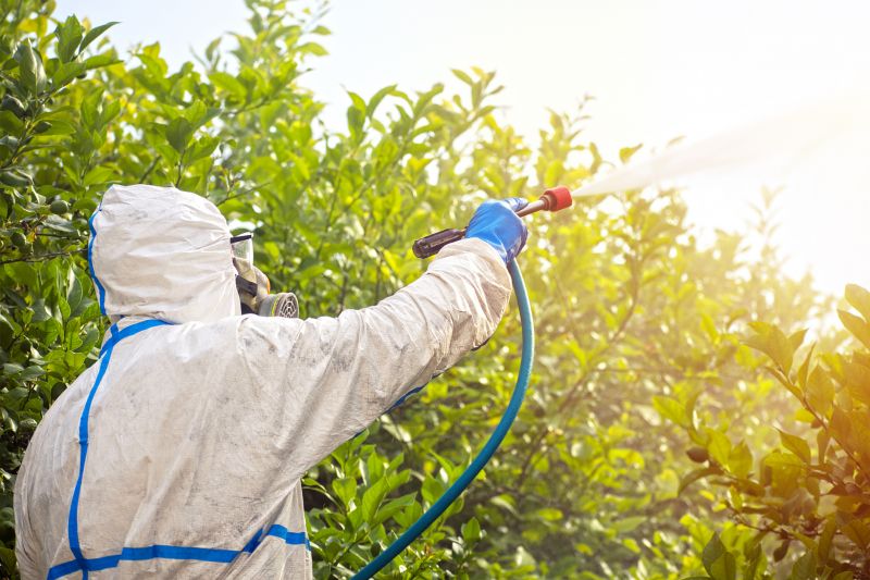 Pest Fumigation Service in Gwinnett County, GA